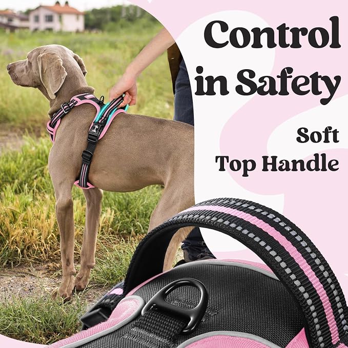rabbitgoo Dog Harness for Large, No Pull Pet Harness - Image 4