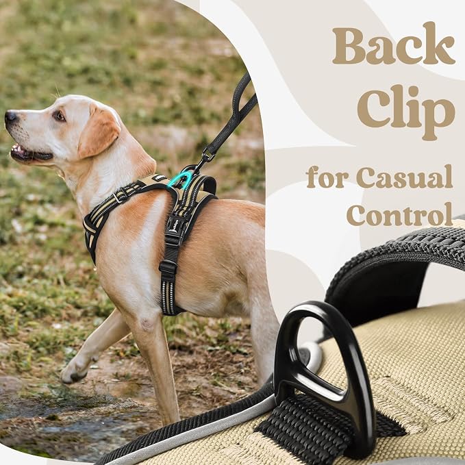 rabbitgoo Dog Harness Small Sized, No Pull Pet Harness - Image 6