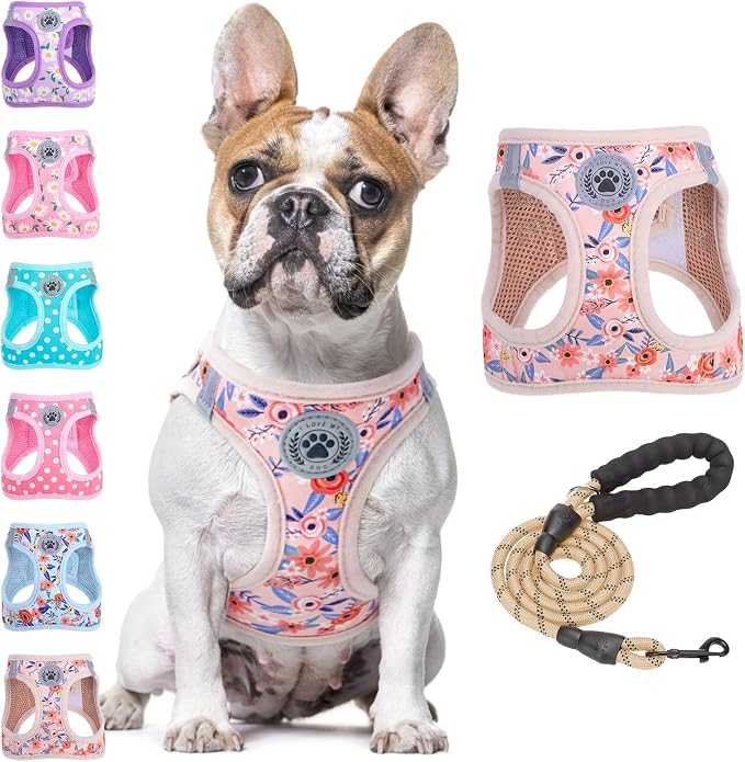 BEAUTYZOO Step in Dog Harness and Leash Set, Floral Pattern Reflective Dog by BEAUTYZOO