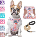 BEAUTYZOO Step in Dog Harness and Leash Set, Floral Pattern Reflective Dog by BEAUTYZOO