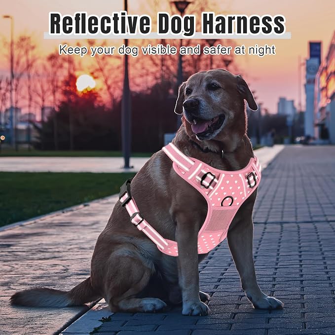 Rnivvi No Pull Dog Harness, Cute Reflective X-Large Sized Puppy Harness - Image 6