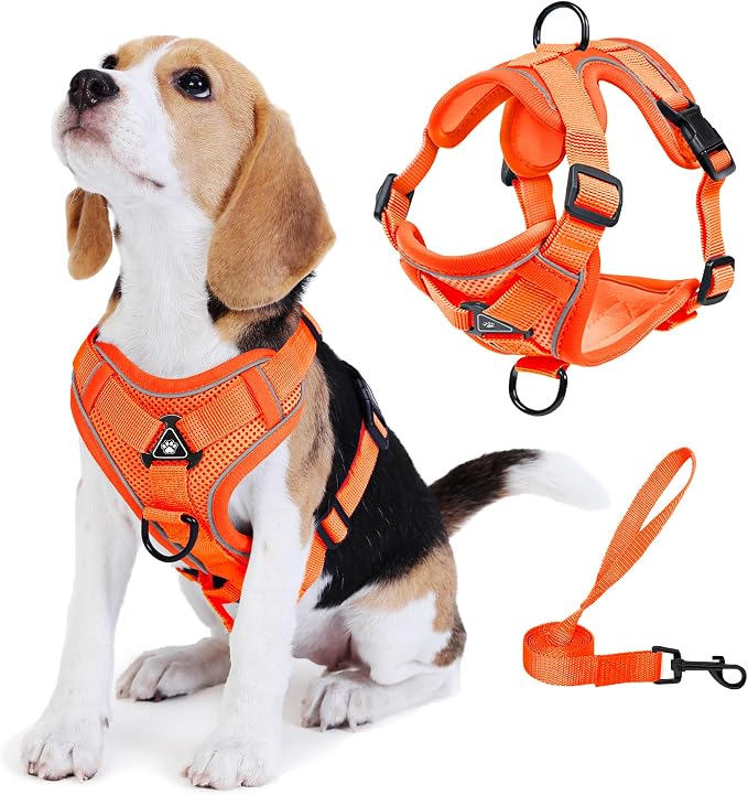 No Pull Dog Harness with Leash Set by Unknown
