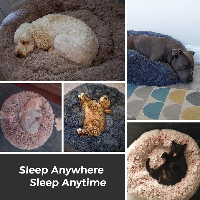 Calming Dog Bed & Cat Bed for Indoor Cats, Medium Size Washable Anti-Slip - Image 6