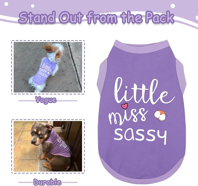 Paiaite Dog Clothes Fashionable Sleeveless Pet Vest: 'Little Miss Sassy' - Image 4
