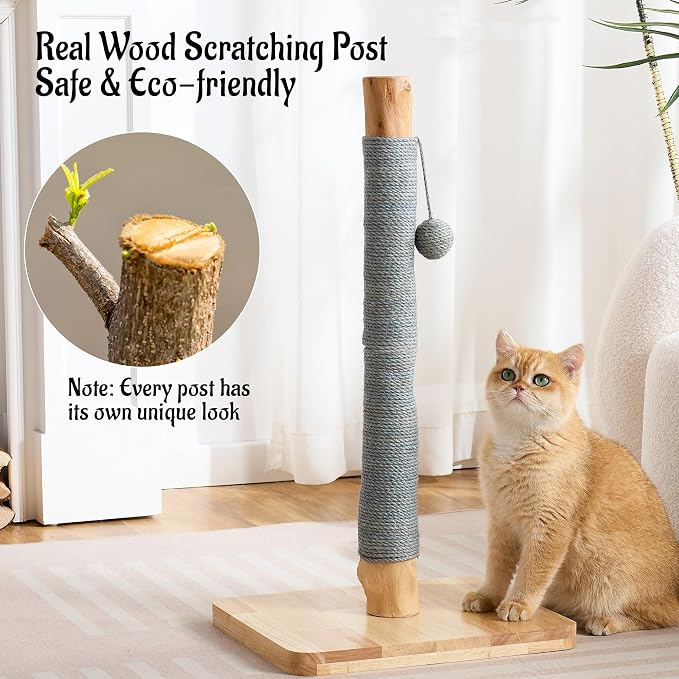 29" Tall Cat Scratching Post for Indoor Cats Adults, Extra-Stable & Natural - Image 5