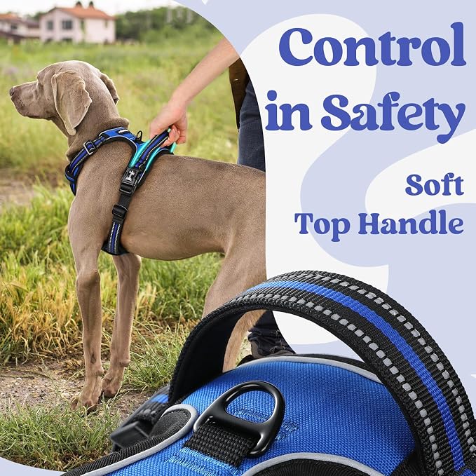 rabbitgoo Dog Harness Medium Sized, No Pull Pet Harness - Image 5