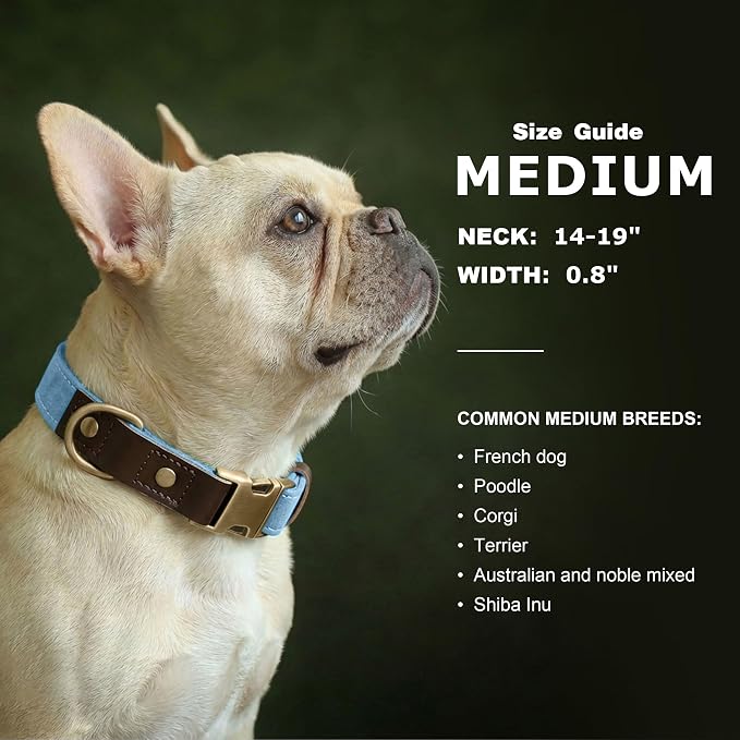 Didog Soft PU Leather Dog Collars - Image 3
