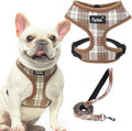 PUPTECK Soft Mesh Dog Harness and Leash Set Pet Puppy Cat Comfort Padded Vest by PUPTECK