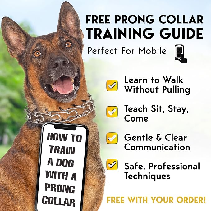 PetJett ProTrainer Prong Collar - Image 7