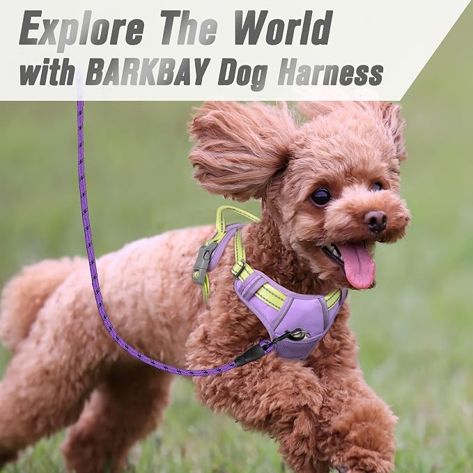 BARKBAY No Pull Dog Harness Front Clip Heavy Duty Reflective Easy Control Handle - Image 8