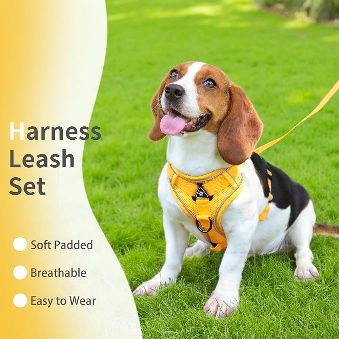 No Pull Dog Harness with Leash Set - Image 2
