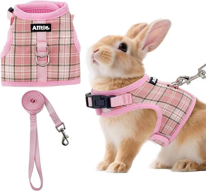 AIITLE Breathable Rabbit Harness and Leash Set by AIITLE-FORPETSBETTERLIFE