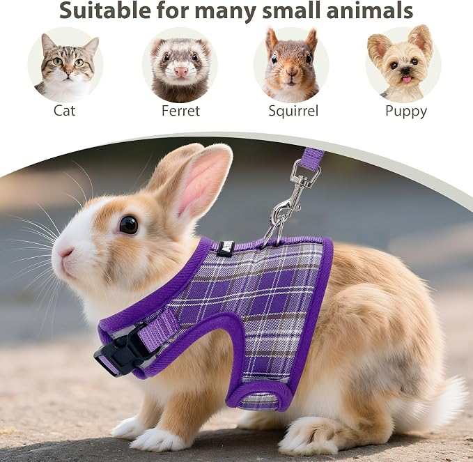AIITLE Breathable Rabbit Harness and Leash Set - Image 2