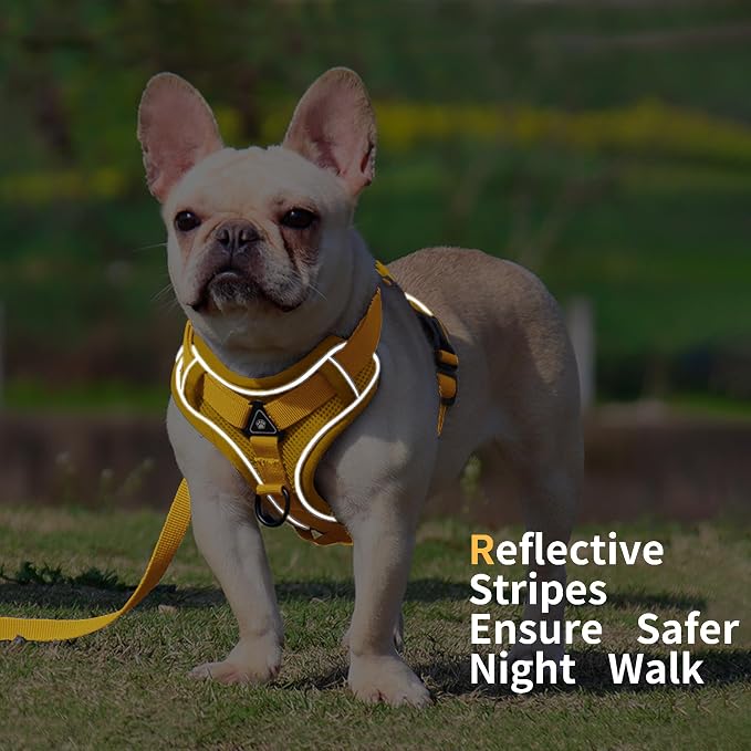No Pull Dog Harness with Leash Set - Image 5