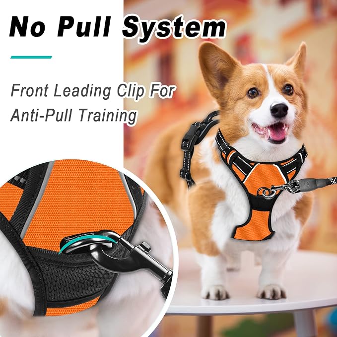 BARKBAY No Pull Dog Harness Large Step in Reflective Dog Harness - Image 4