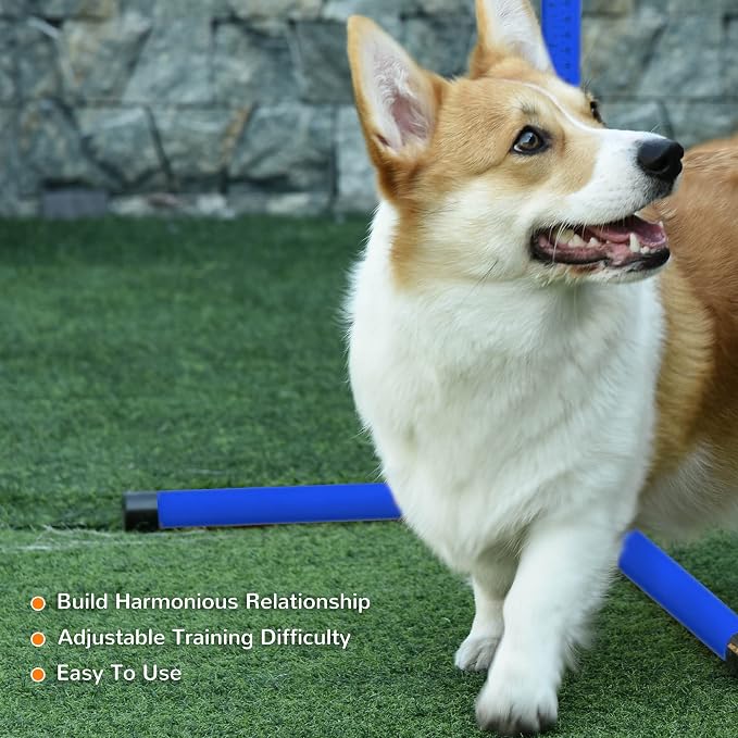 Dog Agility Jump Set - Image 6