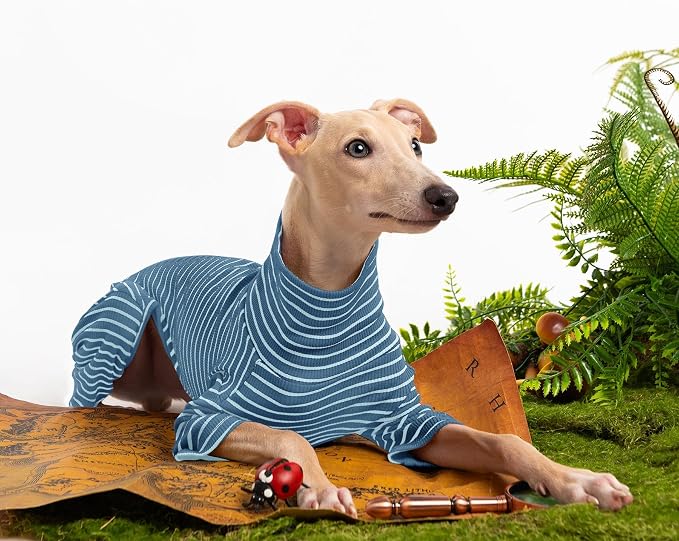 Dog Sweaters for Small Dogs Girls Boys, Striped Pet Sweaters for Fall Winter - Image 5