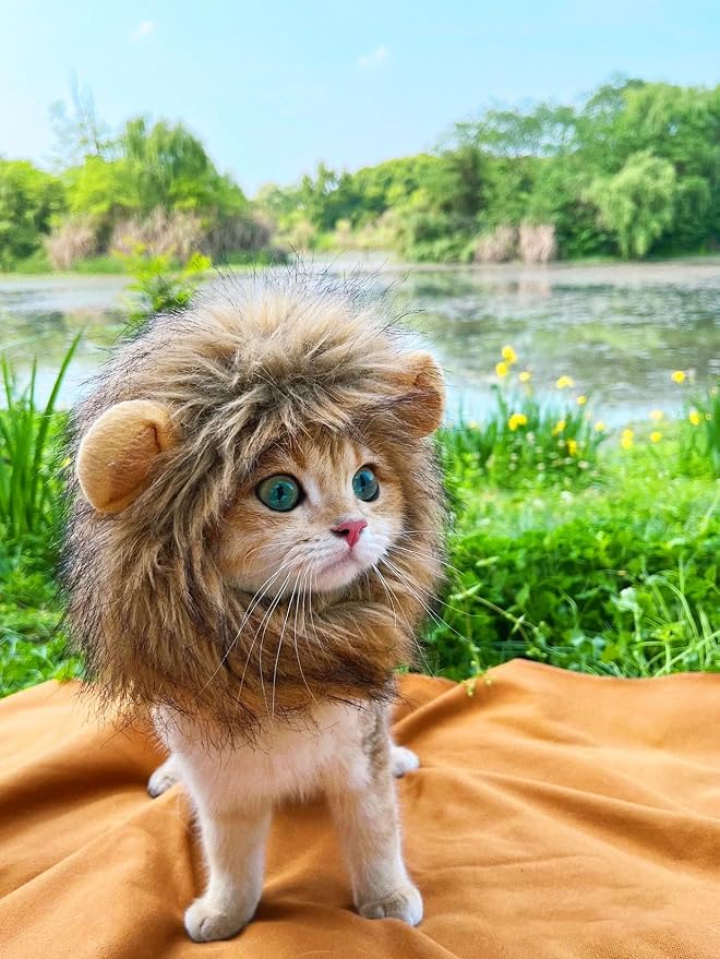 Lion Mane Wig for Cat, Cat Costume, Puppy Costume, Funny Pet Costumes for - Image 8