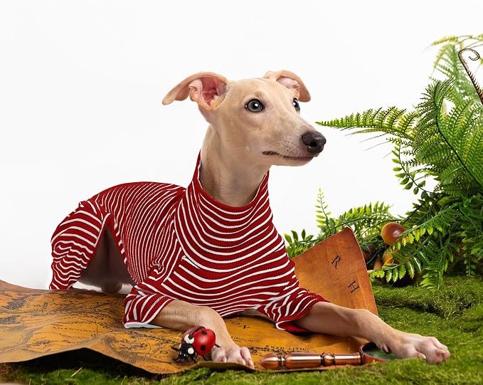 Dog Sweaters for Small Dogs Girls Boys, Striped Pet Sweaters for Fall Winter - Image 5