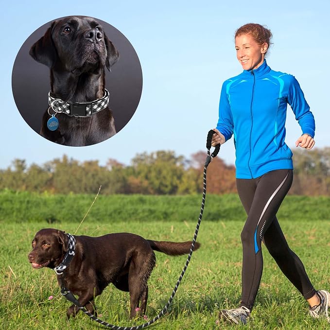 Reflective Dog Collar Padded - Image 4