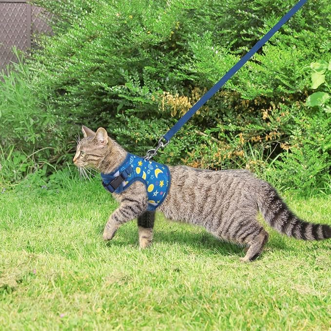 BINGPET Cat Harness with Leash Escape Proof - Image 6