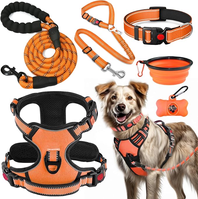 No Pull Dog Harness, Collar & Leash Set | Includes Dog Seat Belt, Collapsible by Lovebegetslove