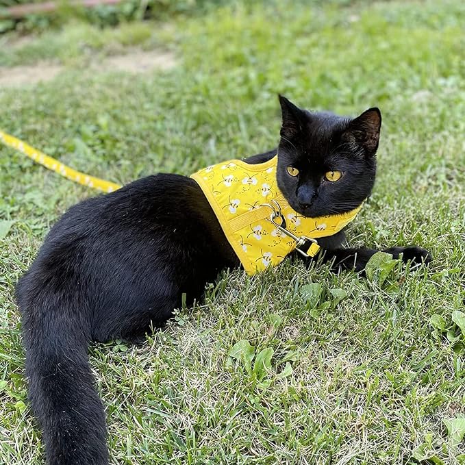 BINGPET Cat Harness with Leash and Collar - Image 6