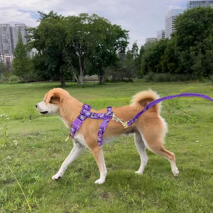2 Pack Cat Harness and Leash Set - Image 7