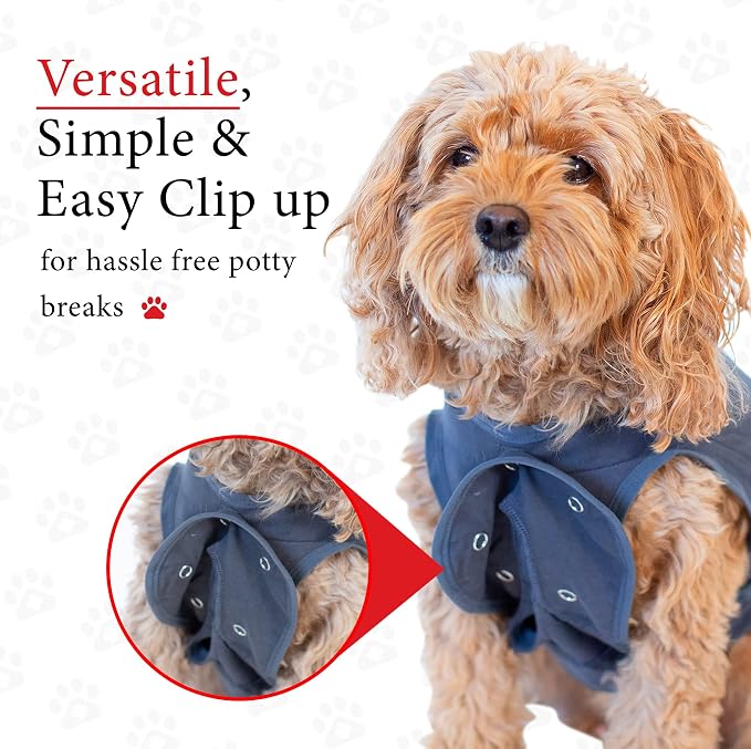 BellyGuard Dog Surgery Recovery Suit, Dog Onesie - Image 7