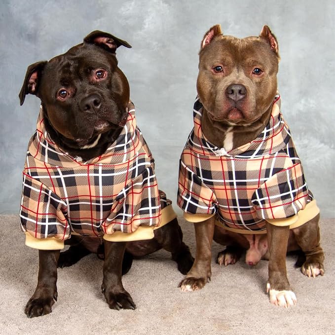 EXPAWLORER Plaid Dog Hoodie - Image 7