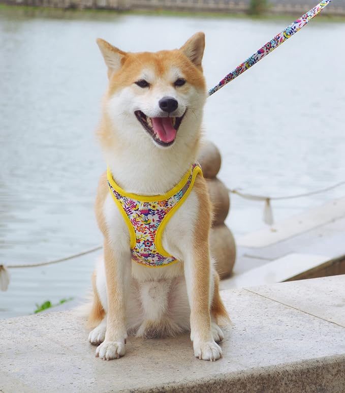 Moonpet Step in Dog Harness Leash Set- All Weather Reflective No-Pull Floral - Image 4