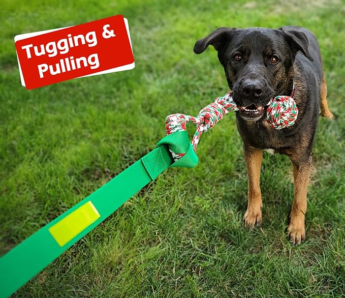 LOOBANI Outdoor Bungee Tug Toy, Dog Toy Hanging from Tree - Image 7