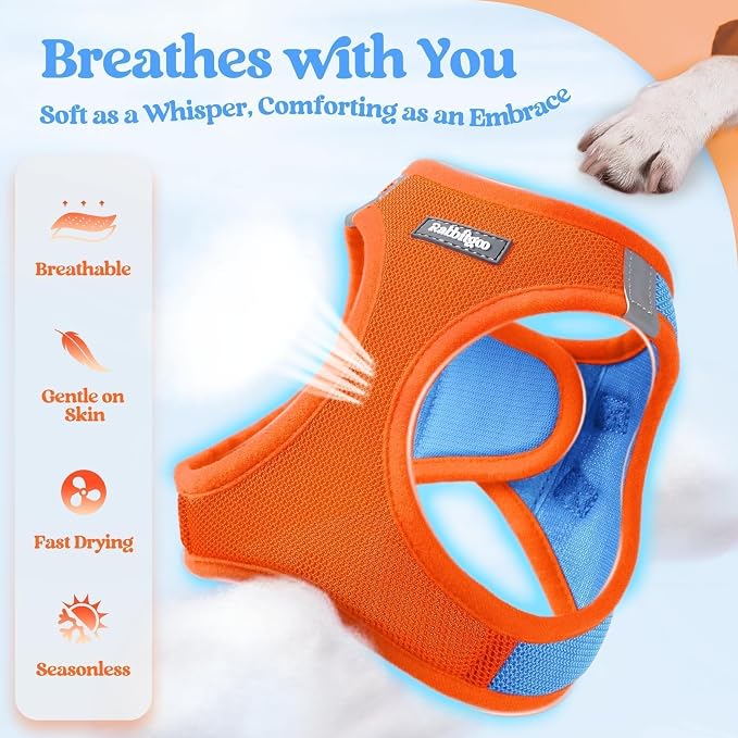 rabbitgoo Dog Harness Small Sized and Leash Set, Step in Soft Light Puppy Vest - Image 4