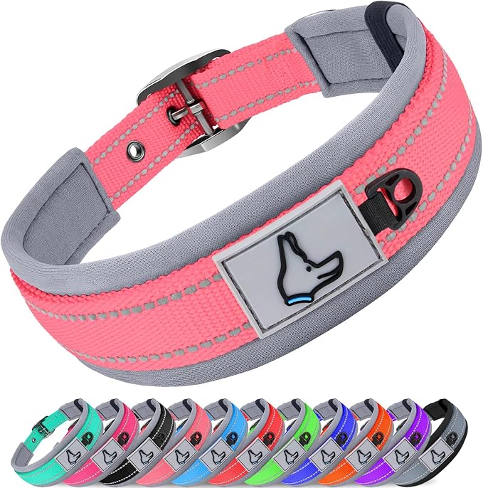 Joytale Dog Collar for Medium Dogs, Neoprene Padded and Adjustable, Reflective by Joytale