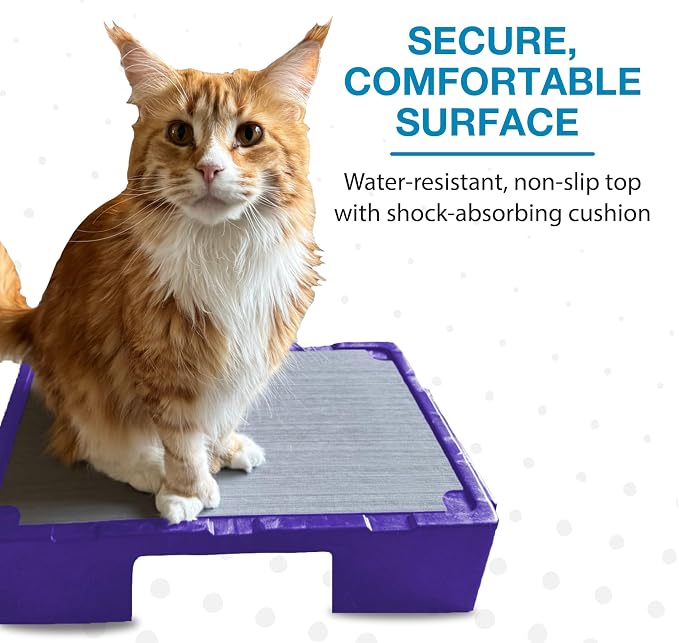 Blue-9 KLIMB Jr. Professionally Designed Dog Training Platform and DIY Guide - Image 5