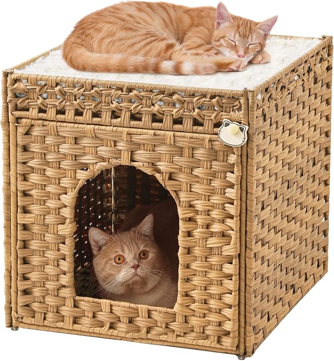 Cat Beds for Indoor Cats Extra Large Double Cat Cave Pet Cube, Handwoven Rattan by SETVSON