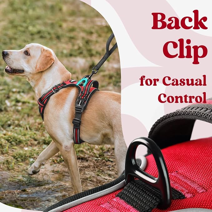 rabbitgoo Dog Harness Medium Sized, No Pull Pet Harness - Image 6
