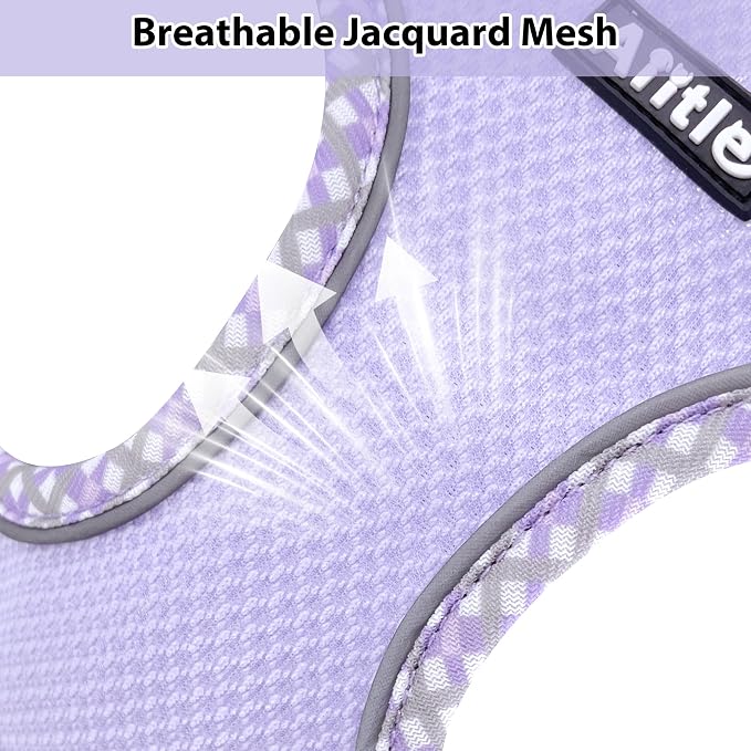 AIITLE Teacup Puppy Harness - Image 6
