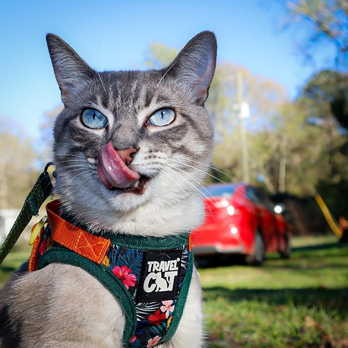 Travel Cat Harness and Leash Set - Image 2