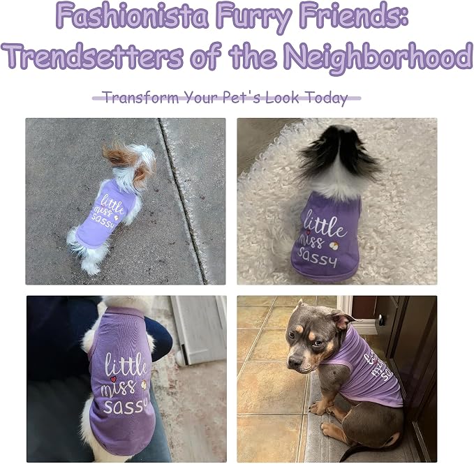 Paiaite Dog Clothes Fashionable Sleeveless Pet Vest: 'Little Miss Sassy' - Image 3