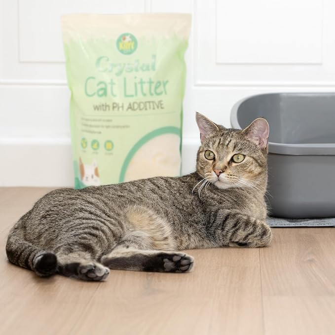 Kitty City pH Detecting Crystal Cat Litter, Silica Gel Crystals - Image 3