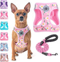 BEAUTYZOO Step in Dog Harness and Leash Set, Floral Pattern Reflective Dog by BEAUTYZOO