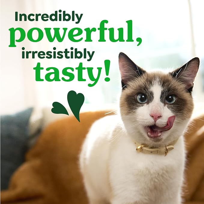 Greenies Cat Treats, Feline Veterinarian-Recommended Adult Natural Dental Cat - Image 7