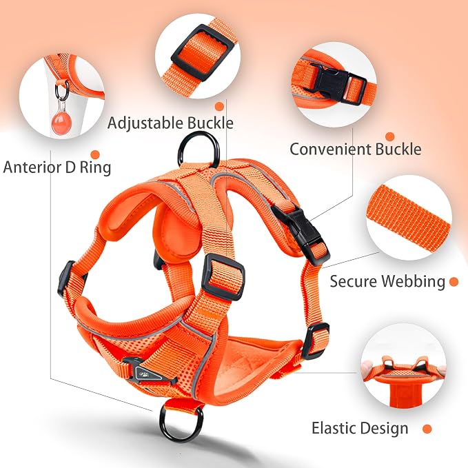 No Pull Dog Harness with Leash Set - Image 3