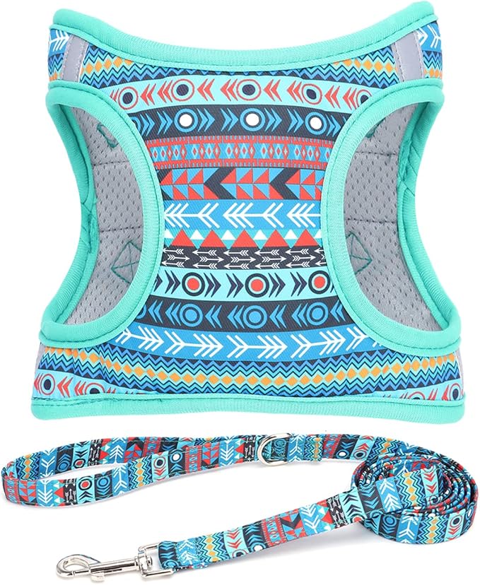 Moonpet Step in Boy Dog Harness Leash Set- All Weather Reflective No-Pull by MOONPET