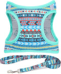 Moonpet Step in Boy Dog Harness Leash Set- All Weather Reflective No-Pull by MOONPET