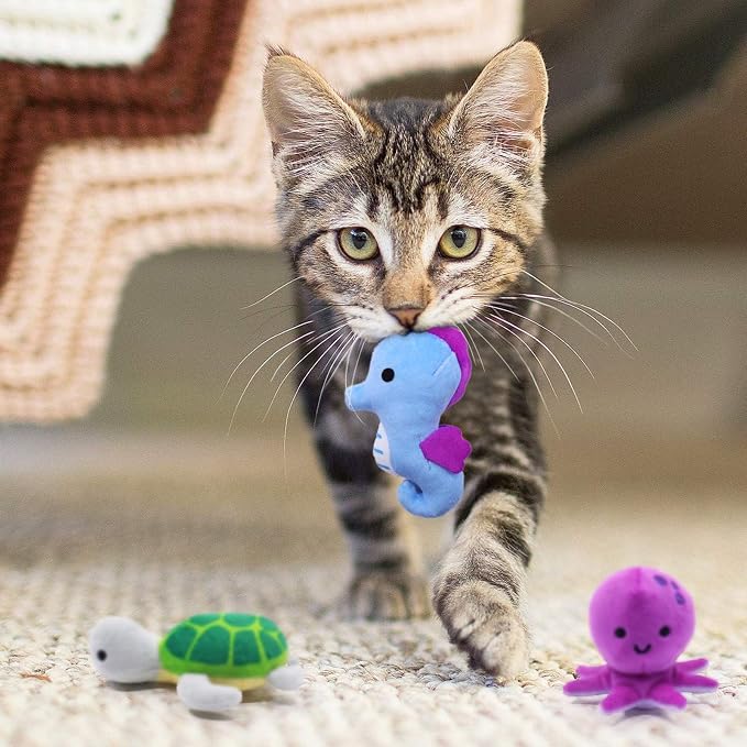 Catnip Toys for Indoor Cats Kitten Interactive Toys for Cat Lovers Gifts Chew - Image 6