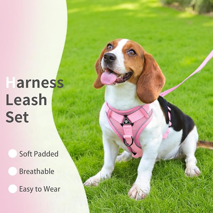No Pull Dog Harness with Leash Set - Image 2
