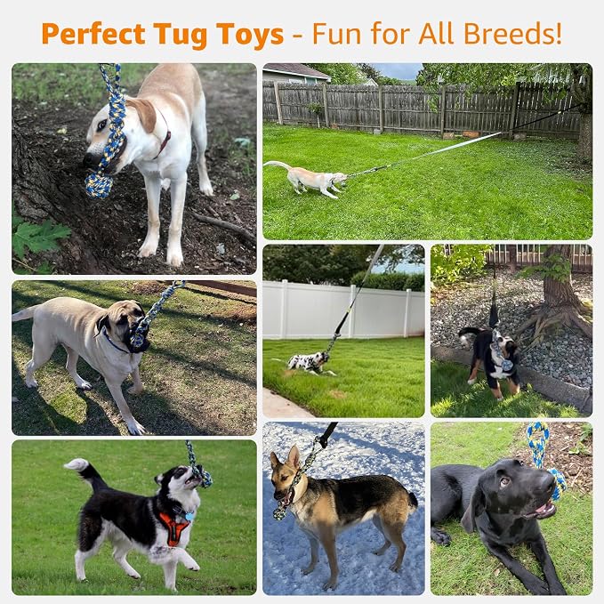 LOOBANI Outdoor Bungee Tug Toy, Dog Toy Hanging from Tree - Image 4