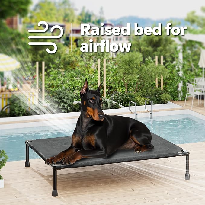 Simple Trending Elevated Dog Bed - Image 2